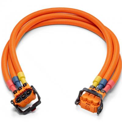 Automotive high-voltage wiring harness (high-voltage distribution box - power battery) - 副本