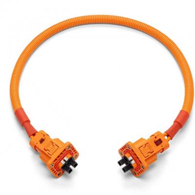 Automotive high-voltage wiring harness (car charger electric compressor)